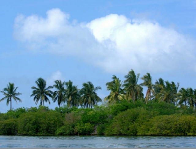 Tours  de snorkel